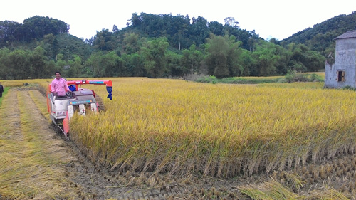 Sức sống mới nơi “Thủ đô kháng chiến” ảnh 1